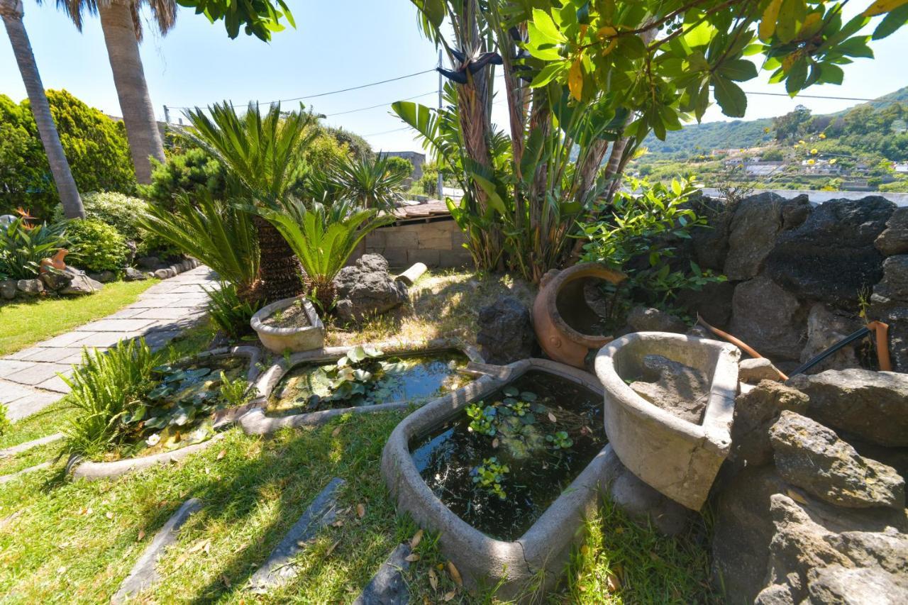 Villa Stefania Barano dʼIschia Esterno foto